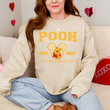 Load image into Gallery viewer, Honey Bear Varsity Sweatshirt

