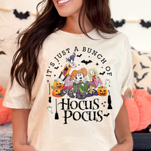 Load image into Gallery viewer, Mouse &amp; Friends Hocus Pocus Tshirt
