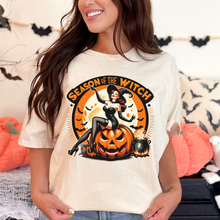 Load image into Gallery viewer, Season Of The Witch Tshirt
